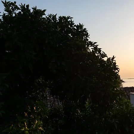 Holiday Home Anamarija Cavtat Exterior photo